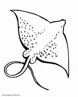 Coloring Pages Animals Sea Stingray Printable sketch template