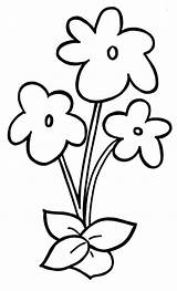 Coloring Preschool Flower Pages Kids Violet Template Blank Stems Clipart Flowers Stem Drawings Simple Drawing Color Plant Cliparts Easy Printable sketch template