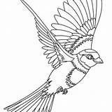 Coloring Pages Bird Flying Birds Phoenix Fawkes Template Drawings Para Colorear Forward Hellokids sketch template