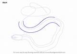 Snake Garter Draw Step Common Drawing Middle Body Make sketch template