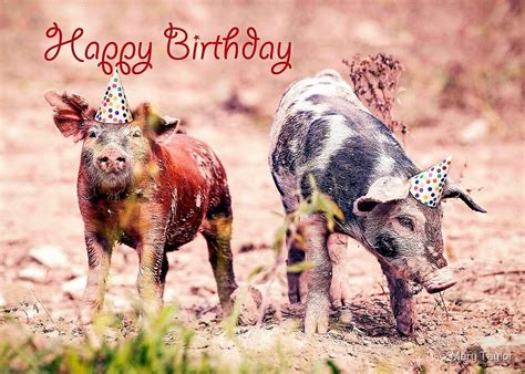 happy birthday pigs  party hats  mary taylor redbubble