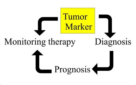 Tumor Marker Part 1 Definition Of Tumor Markers Staging And