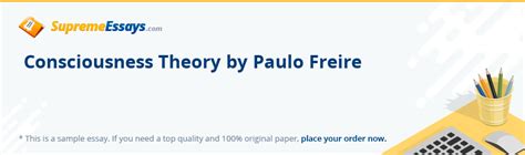 read consciousness theory  paulo freire essay sample