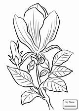 Magnolia Coloring Pages Printable Tattoo Watercolor Getcolorings Flower Awesome Color Getdrawings sketch template