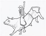 Bull Coloring Pages Riding Rodeo sketch template