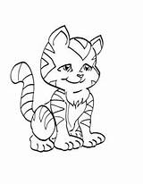 Pisica Colorat Planse Pisici Desene Disegni Gatti Animale Imagini Jocuri Trafic Educative Imaginea Colorare Adulti sketch template