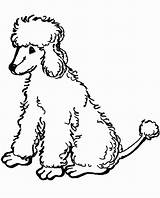 Poodle Coloring Pages Printable Toy Poodles Chow Kids Print Google Clip Search Getcolorings Silhouette Color Getdrawings Popular Puppy French Animal sketch template
