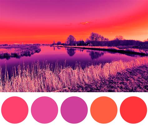 creare una palette  colori  il tuo brand silvia cossu visualweb designer