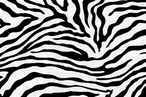 zebra pattern wallpapers top  zebra pattern backgrounds