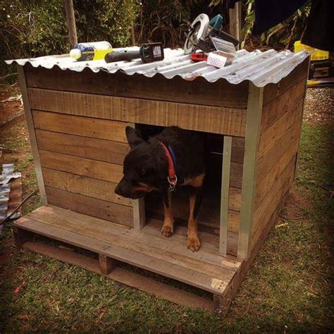 build  pallet dog house diy