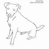 Jack Russell Terrier Coloring Dog Color Drawing Sitting Line Pages Drawings Template Russel Own Sit Kids Cute Print Terriers sketch template