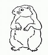 Groundhog sketch template