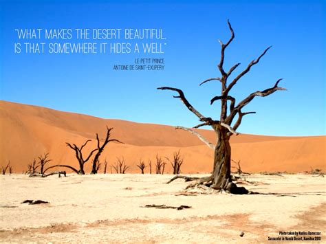 quote desert le petit prince hope travel desert quote namib