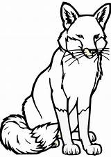 Fox Clipart Coloring Library Clip sketch template