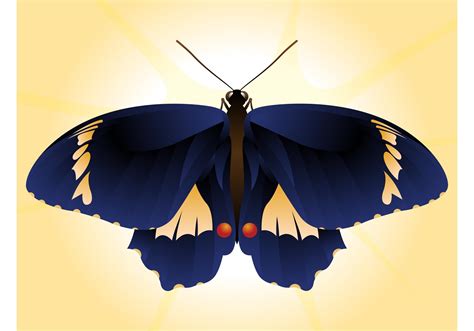 beautiful butterfly vector download free vector art stock graphics