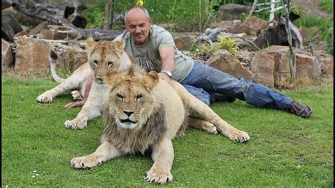 preposterous pets living  lions youtube