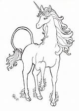 Unicorn Unicornios Einhorn Unicornio Pferde Ausdrucken Letzte Lapiz Unicorns Malvorlagen Malvorlage Animales Maverick Dibujo Pferd Horses Caballos Kleurplaat Relacionada Heraldic sketch template