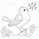 Singing Coloring Songbird Bird Notes Clipart Waiting Colored Drawings Vector Designlooter Royalty Dreamstime Illustration 04kb 1024px 1024 Illustrations sketch template