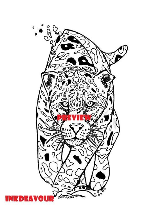 pin pa coloring pages