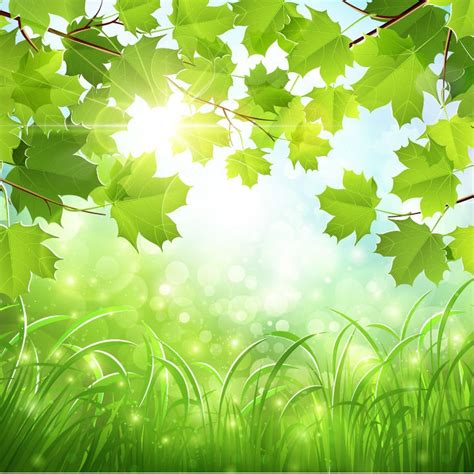 green natural background vector illustration  vector graphics   web resources