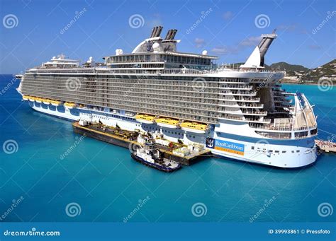 oasis seas stock  royalty  stock images