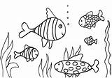 Fish Coloring Printable Imagixs Via sketch template