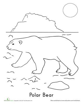 polar bear worksheet educationcom polar bear coloring page bear