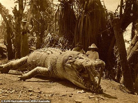 biggest crocodile  caught  australia  shot  polish woman