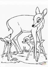 Bambi Faline Pages Mom His Coloring Color sketch template