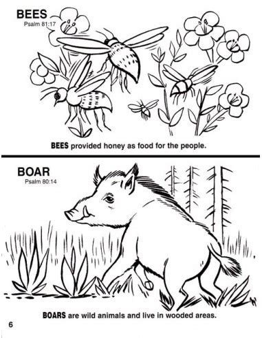 animals   bible coloring book