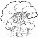 Coloring Oak Forest Tree sketch template