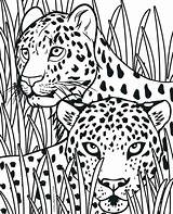 Cheetah Coloring Pages Realistic Animal Cub Print Tribal Cheetahs Color Kids Sheets Printable Getcolorings Cubs Family Wild Colori sketch template