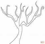 Baum Albero Bez Kahler Ausmalbild Foglie Drzewo Roots Ausmalbilder Kolorowanka Spoglio Rysunek Drzewa Liści Wurzeln Kolorowanki Druku Alberi sketch template