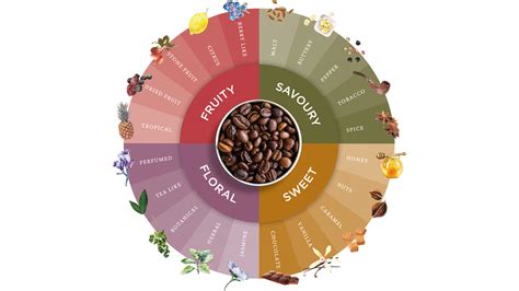coffee flavours wheel roasting process lincoln york