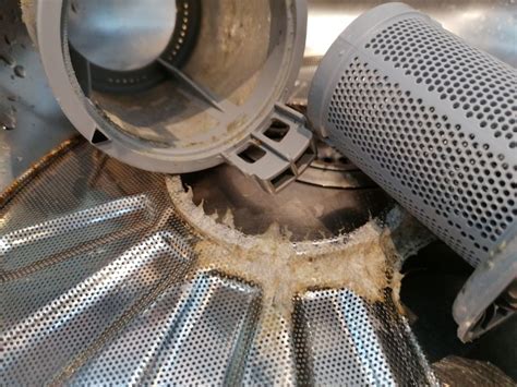 clean  dishwasher filter