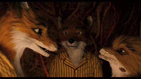 fantastic  fox official theatrical trailer wes anderson tv