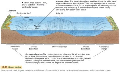 major relief features   earths surface