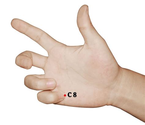 c8 shaofu punto acupuntura del meridiano del corazón