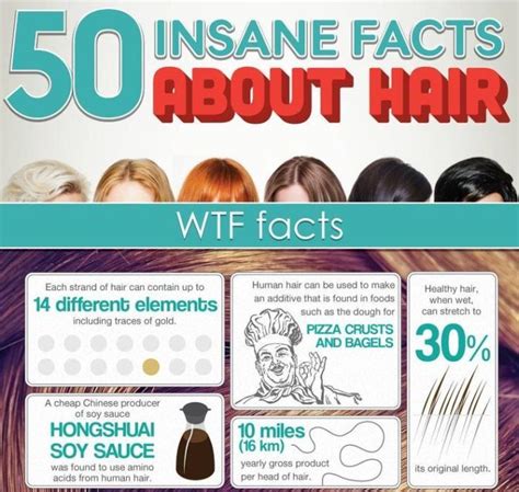 insane facts  hair infographic
