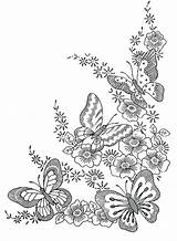 Coloring Pages Flower Border Getcolorings Botany Color sketch template