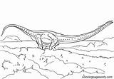 Jurassic Mamenchisaurus Colorear Carnotaurus Dinosaur Suchomimus Ausmalbild Gallimimus Colouring Dinosaurios Dinosaurier sketch template