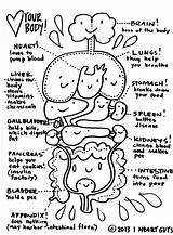 Coloring Anatomy Pages Kidney Human Kids Color Colouring Body Printable Drawing Sheet Simple Worksheets Parts Organs Guts Heart Template Iheartguts sketch template