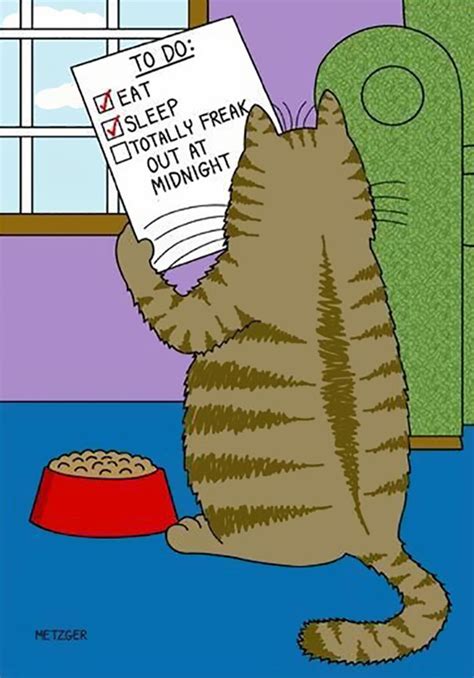 this man has been creating cat cartoons for over 20 years and here are 40 of the best ones