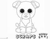Boo Coloring Dog Pages Cutest Printable Worlds Beanie Template sketch template