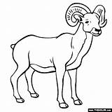 Ram Coloring Pages Animal Color Colouring Printable Thecolor Kids Animals Print Choose Board sketch template