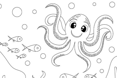 sea creatures coloring pages fish dolphins sharks  marine