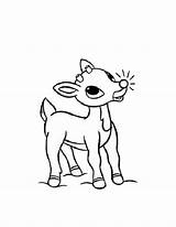 Rudolph Nosed Everfreecoloring Getdrawings sketch template