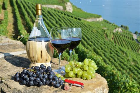 places  italy   wine lover  visit blog