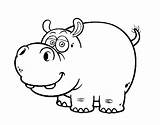 Hippopotamus Coloring Coloringcrew sketch template