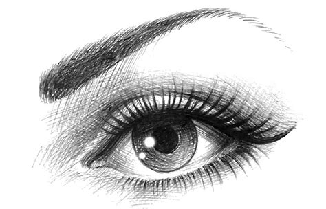 draw realistic eye cheat sheet drawing made easy